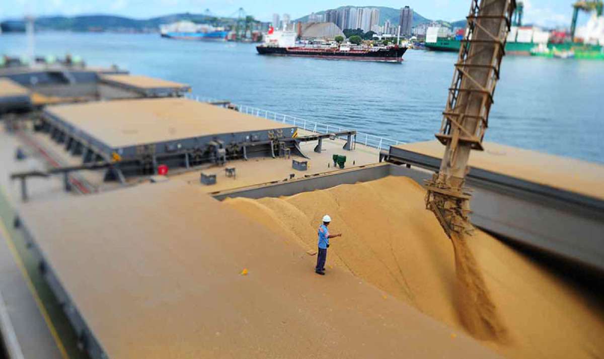 MT coleciona recordes no comércio exterior neste primeiro semestre - Vimarsana News