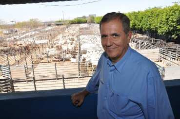 Maurício Tonhá