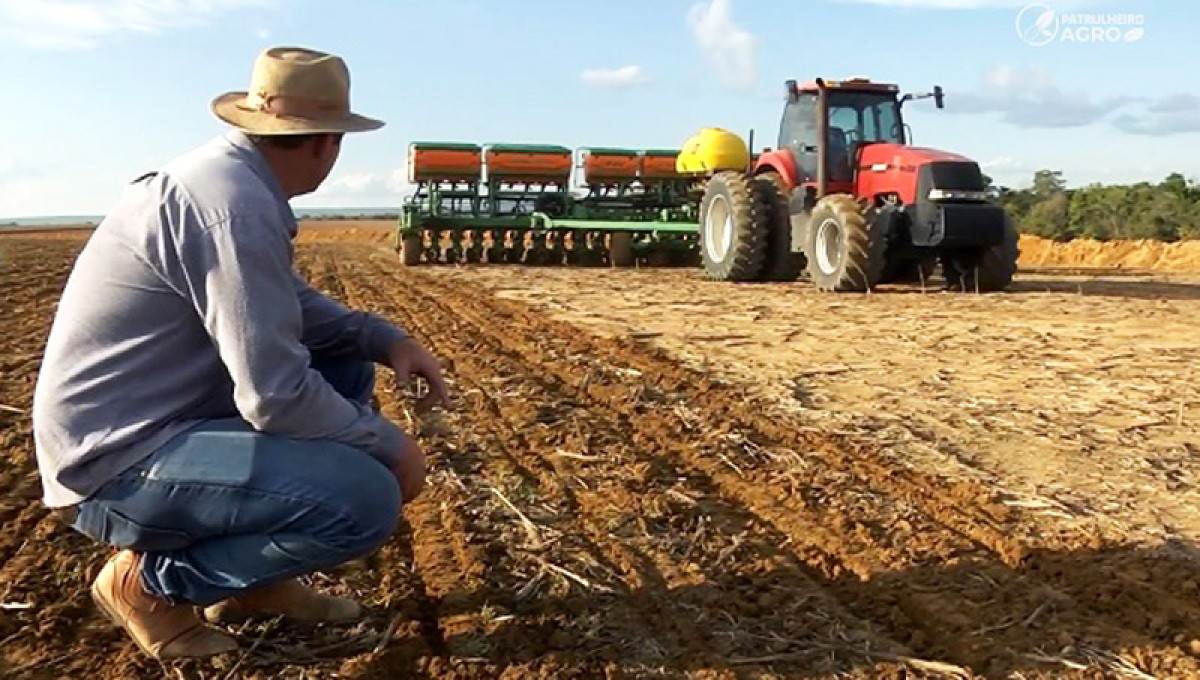 Custos de produção da soja sobem quase 7% em Mato Grosso