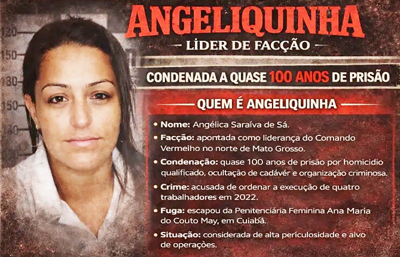 Angeliquinha - CV