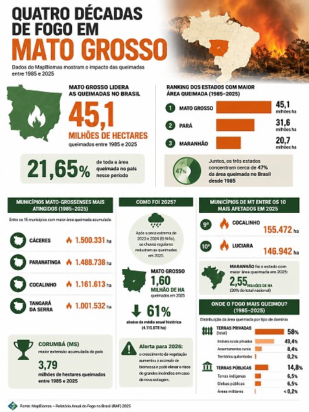 INFO gogo em MT