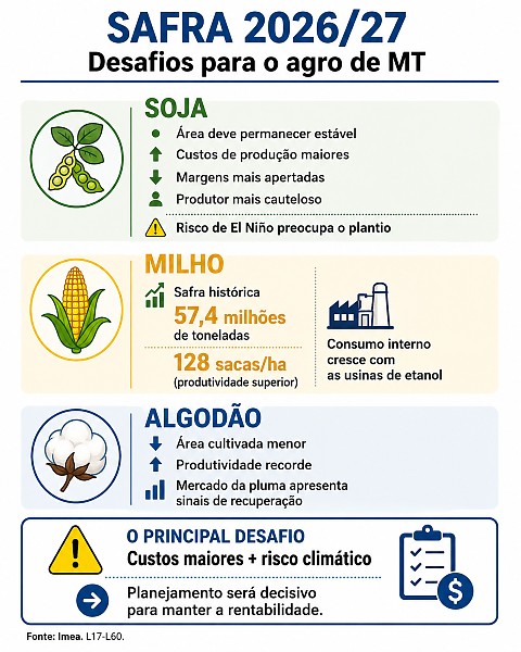 INFO desafio da safra imea