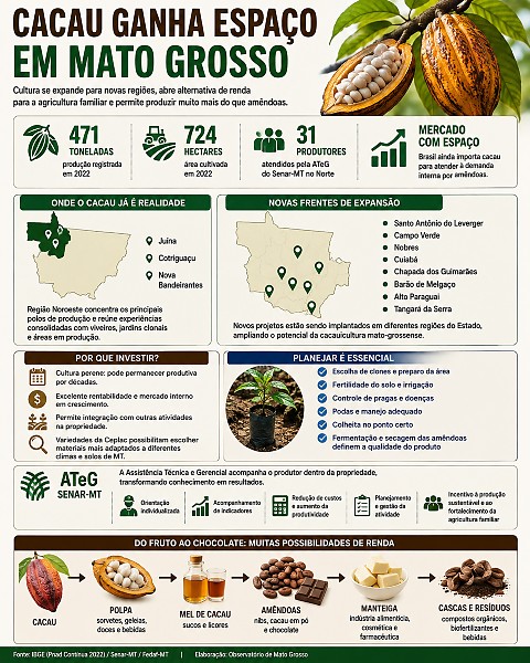 INFO cacau