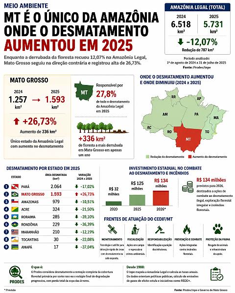 INFO desmatamento amaz�nia MT