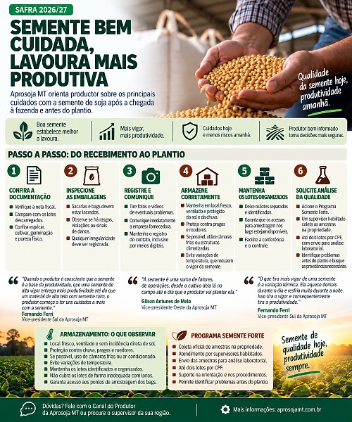 INFO inicio plantio