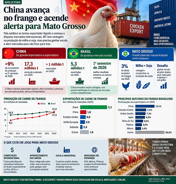 INFO frango china mt