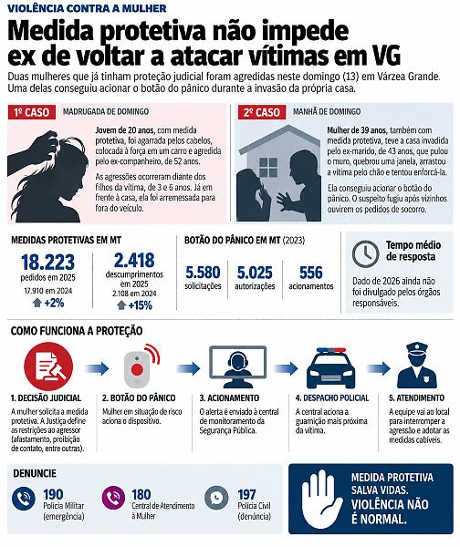 INFO violencia domestica
