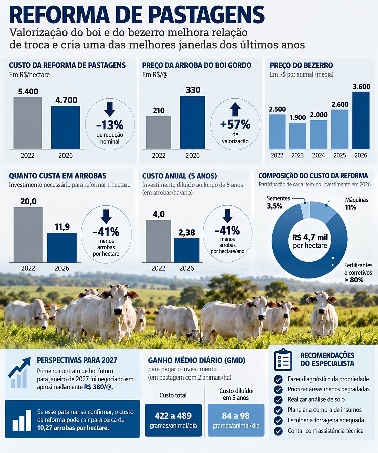INFO pastagens
