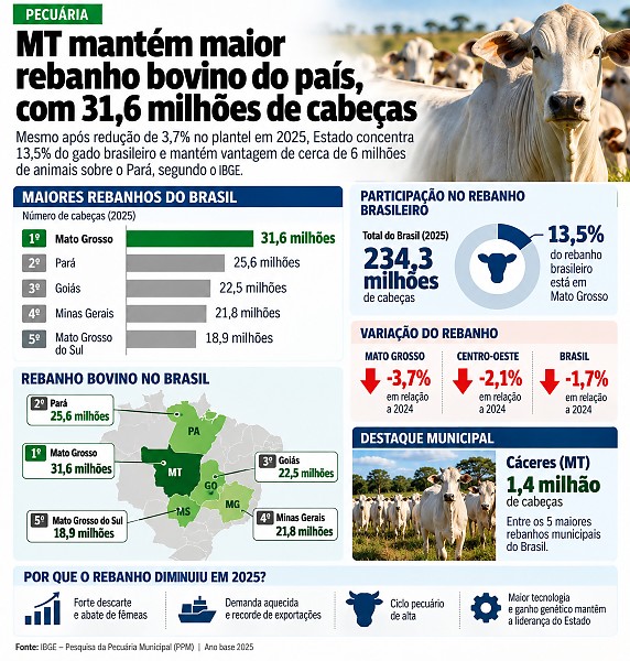 INFO pecuaria