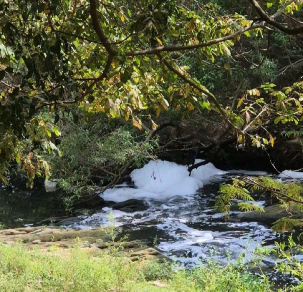 Sema aponta três praias de água doce impróprias para banho em Mato Grosso