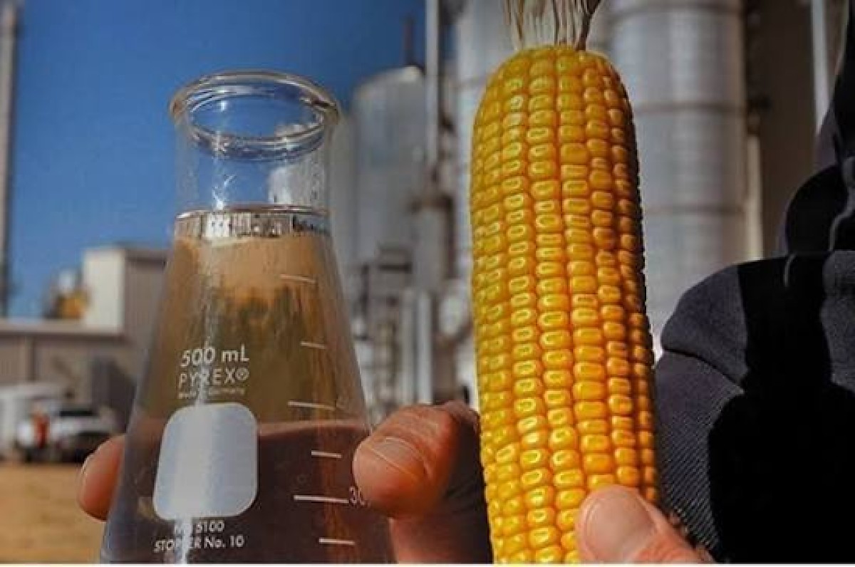 Mato Grosso deve produzir 61% do etanol de milho do Brasil até 2027