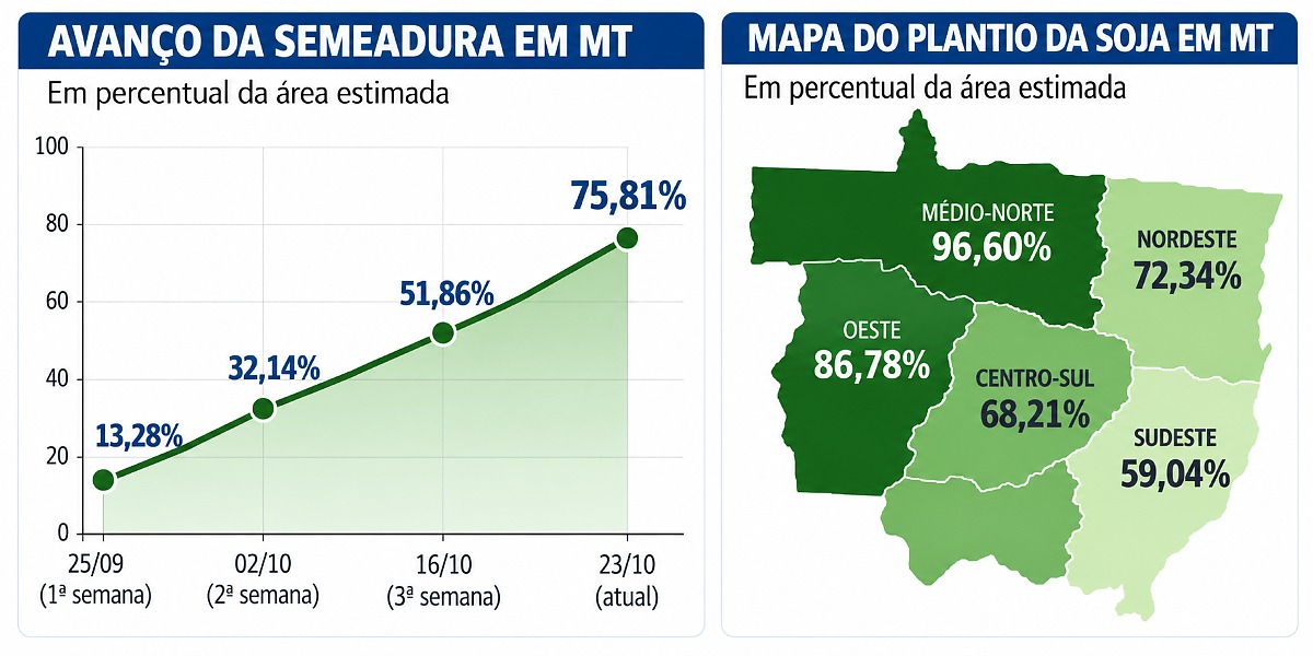 Plantio de soja avança para 75,81% da área em Mato Grosso